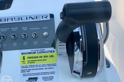 Bayliner Element F18 Center Console