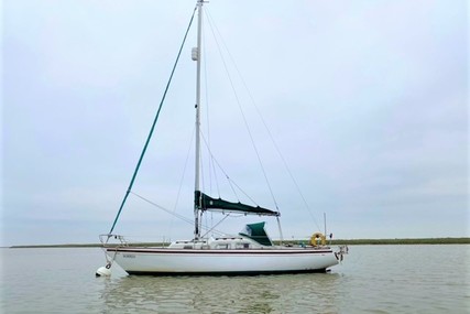 Shipman 28