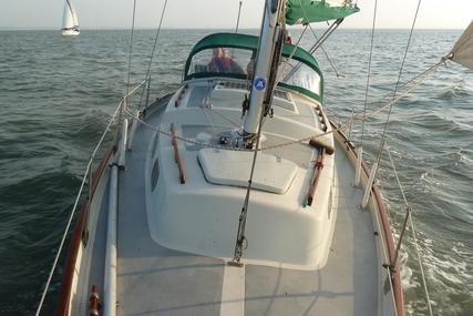 Shipman 28