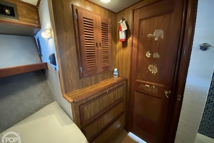 Viking 43 Double Cabin Plan A