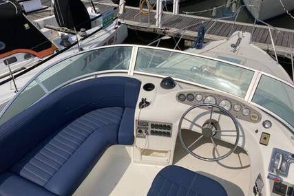 Bayliner 288 CLASSIC FLYBRIDGE