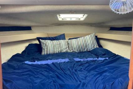 Bayliner 288 CLASSIC FLYBRIDGE