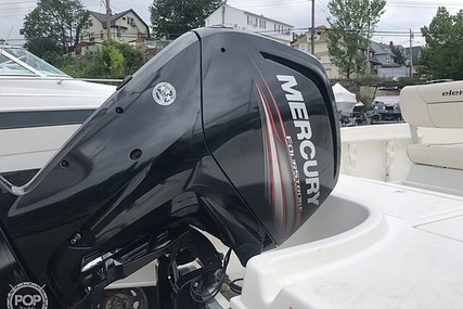 Bayliner Element F18 Center Console