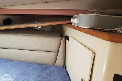 Bayliner 4387 Aft cabin