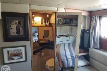 Bayliner 4387 Aft cabin