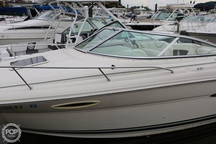 Sea Ray 215 Weekender