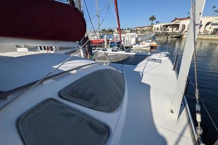 Catana 431