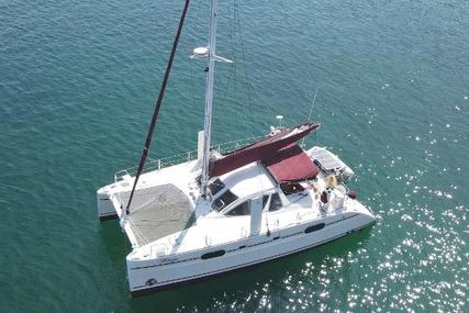 Catana 431