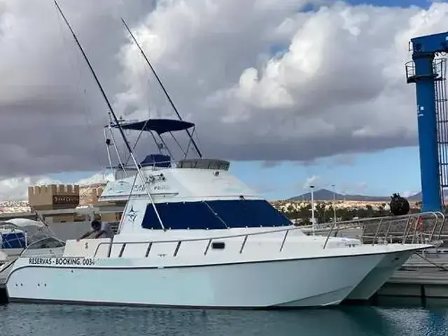 Cata 356 Sportfisherman