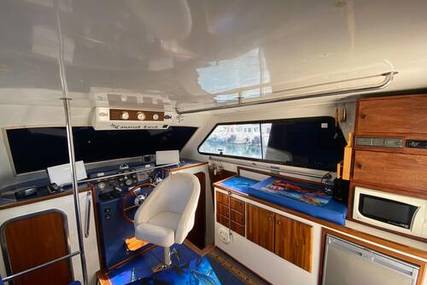 Cata 356 Sportfisherman