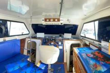 Cata 356 Sportfisherman