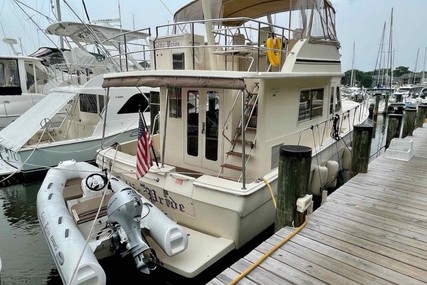 Mainship 43