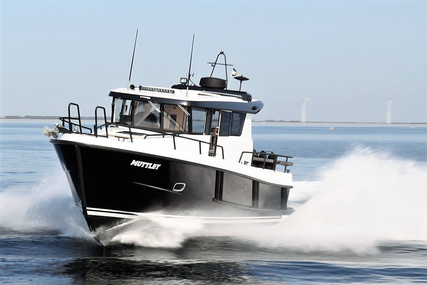 Sargo 33 Explorer