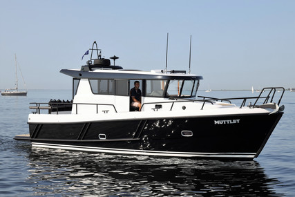 Sargo 33 Explorer