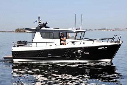 Sargo 33 Explorer