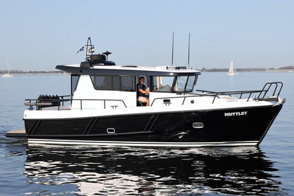 Sargo 33 Explorer