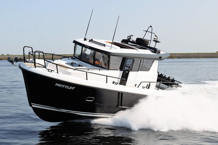 Sargo 33 Explorer