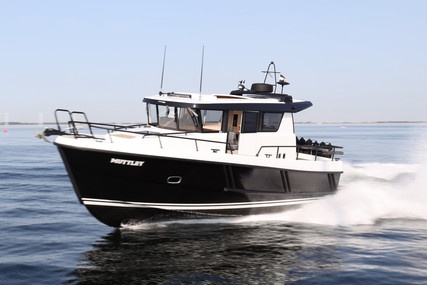 Sargo 33 Explorer