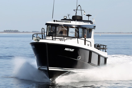 Sargo 33 Explorer