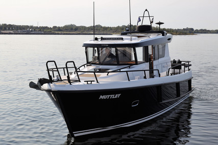 Sargo 33 Explorer