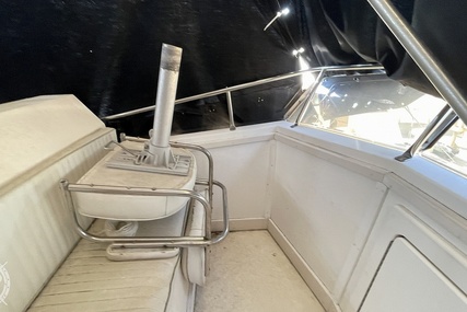 Pacemaker Sportfish 48