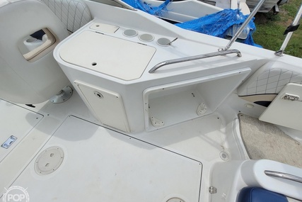 Chris Craft Sport Deck 262