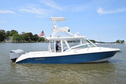 Everglades 350 Lx