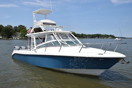 Everglades 350 Lx