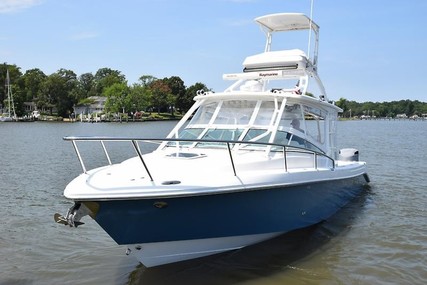 Everglades 350 Lx