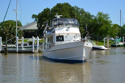 Grand Banks 46 Europa