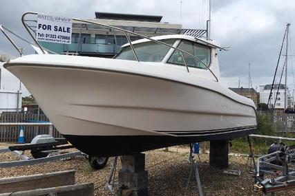 Sessa Marine Dorado 22