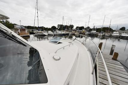 Arvor Guernsey 34