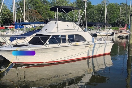 Silverton 28 Sedan Flybridge