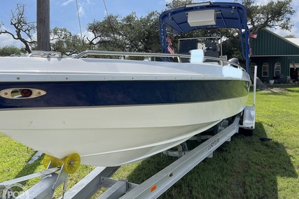 Scarab 29