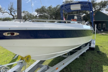 Scarab 29