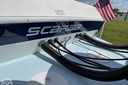 Scarab 29