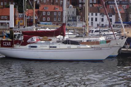 Contessa 32