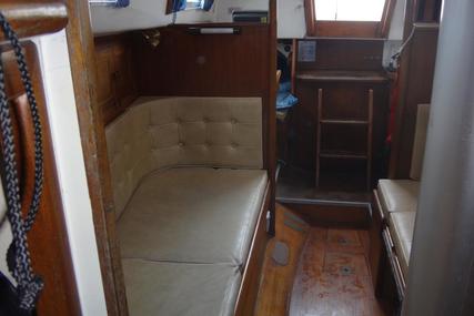 Contessa 32