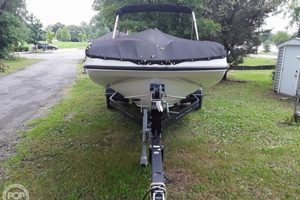 Bayliner 195db