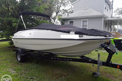 Bayliner 195db