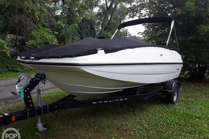 Bayliner 195db