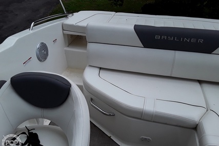 Bayliner 195db