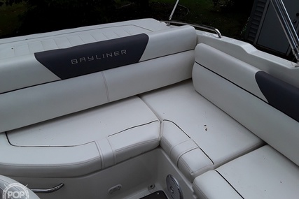 Bayliner 195db