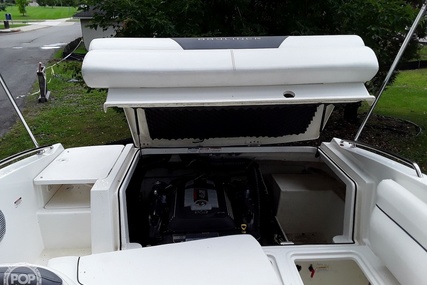 Bayliner 195db