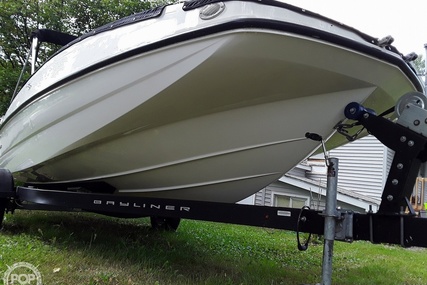 Bayliner 195db