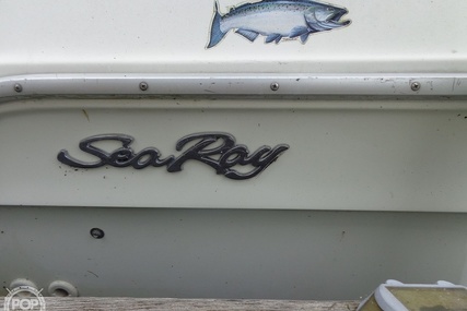 Sea Ray Laguna 18