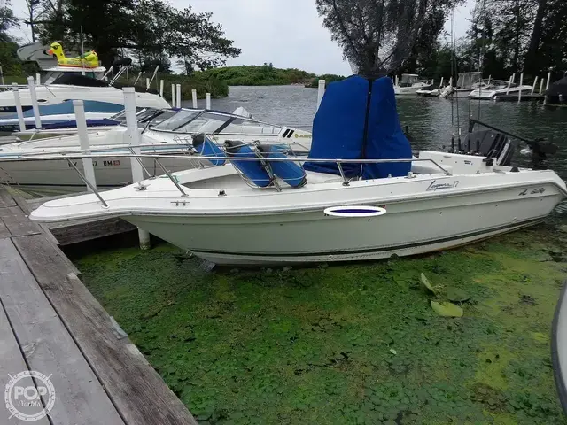 Sea Ray Laguna 18