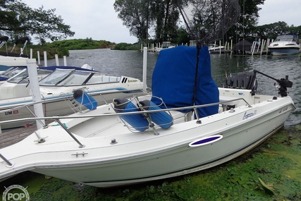 Sea Ray Laguna 18