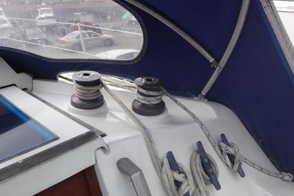 Jaguar Yachts Lynx 29