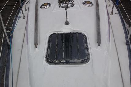 Jaguar Yachts Lynx 29